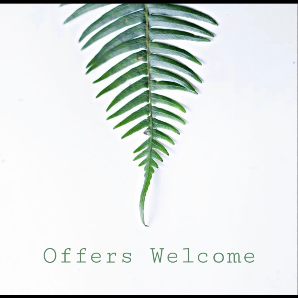 Offers Welcome!